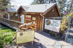 Big-Bear-Alpine-Zoo-1-640x427